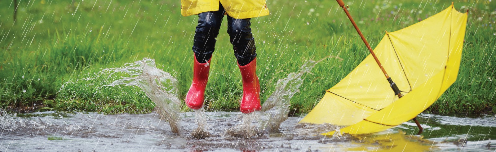 April Rain banner